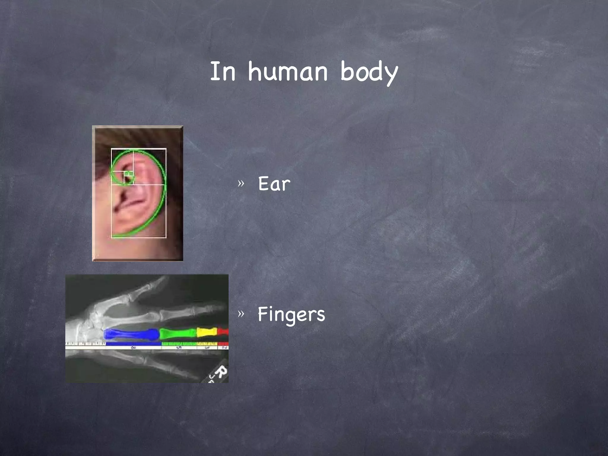 In human body


 »   Ear




 »   Fingers
 