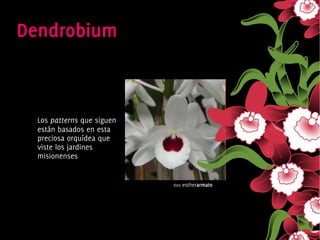 Los patterns que siguen
    están basados en esta
    preciosa orquídea que
    viste los jardines
    misionenses


                                  foto   estherarmato




                               
 