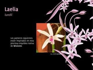 Los patterns siguientes
    están inspirados en esta
    preciosa orquídea nativa
    de Misiones


                                   foto   estherarmato




                                
 