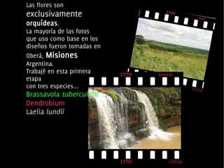 Las flores son
    exclusivamente
    orquídeas.
    La mayoría de las fotos
    que uso como base en los
    diseños fueron tomadas en
    Oberá, Misiones
    Argentina.
    Trabajé en esta primera
    etapa
    con tres especies...
    Brassavola tuberculata
    Dendrobium
    Laelia lundii




                                 
 