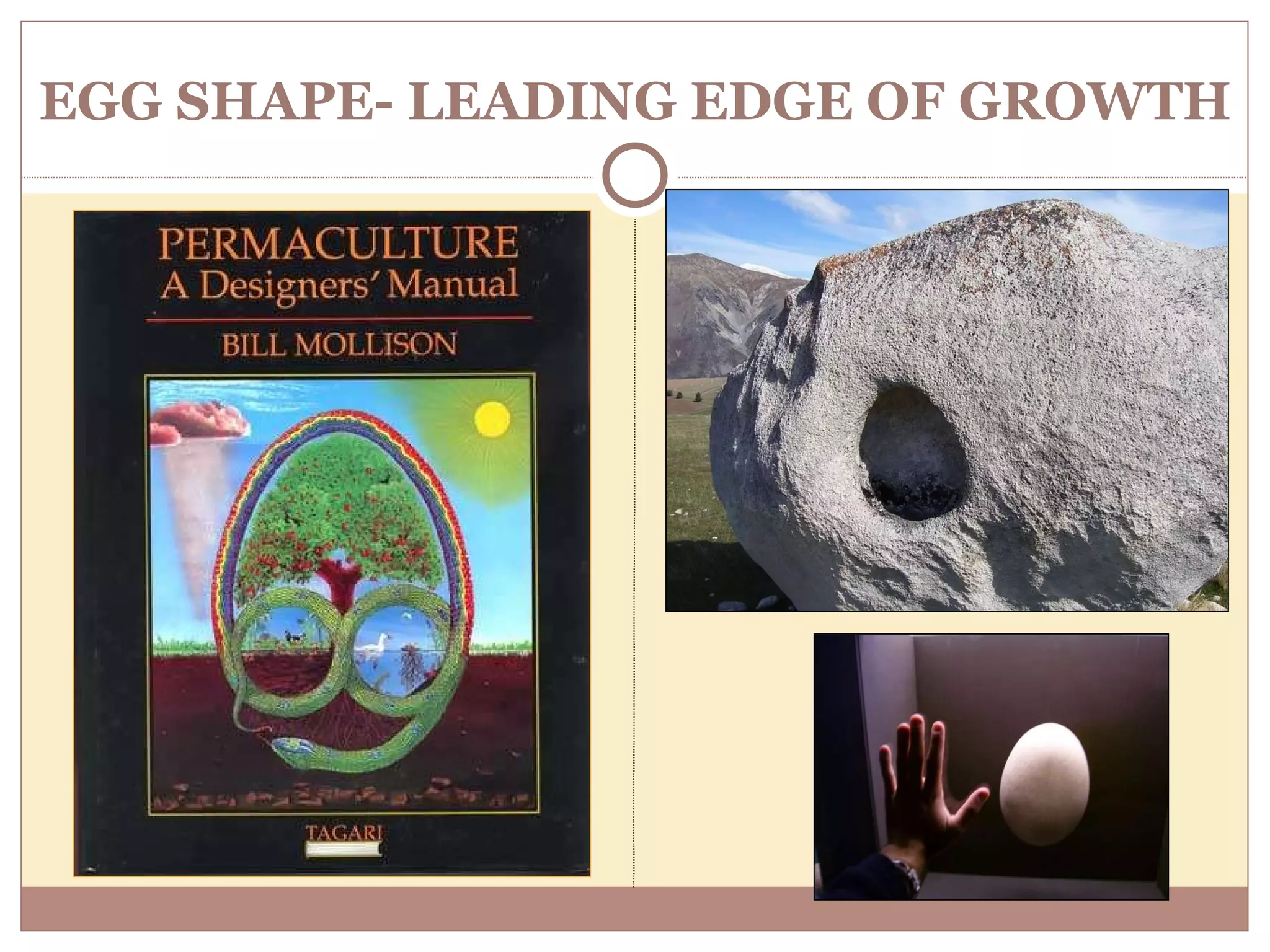 EGG SHAPE- LEADING EDGE OF GROWTH 