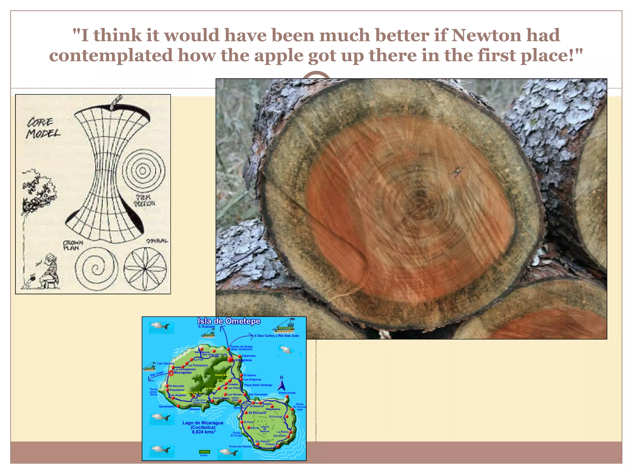 "I think it would have been much better if Newton had contemplated how the apple got up there in the first place!" 