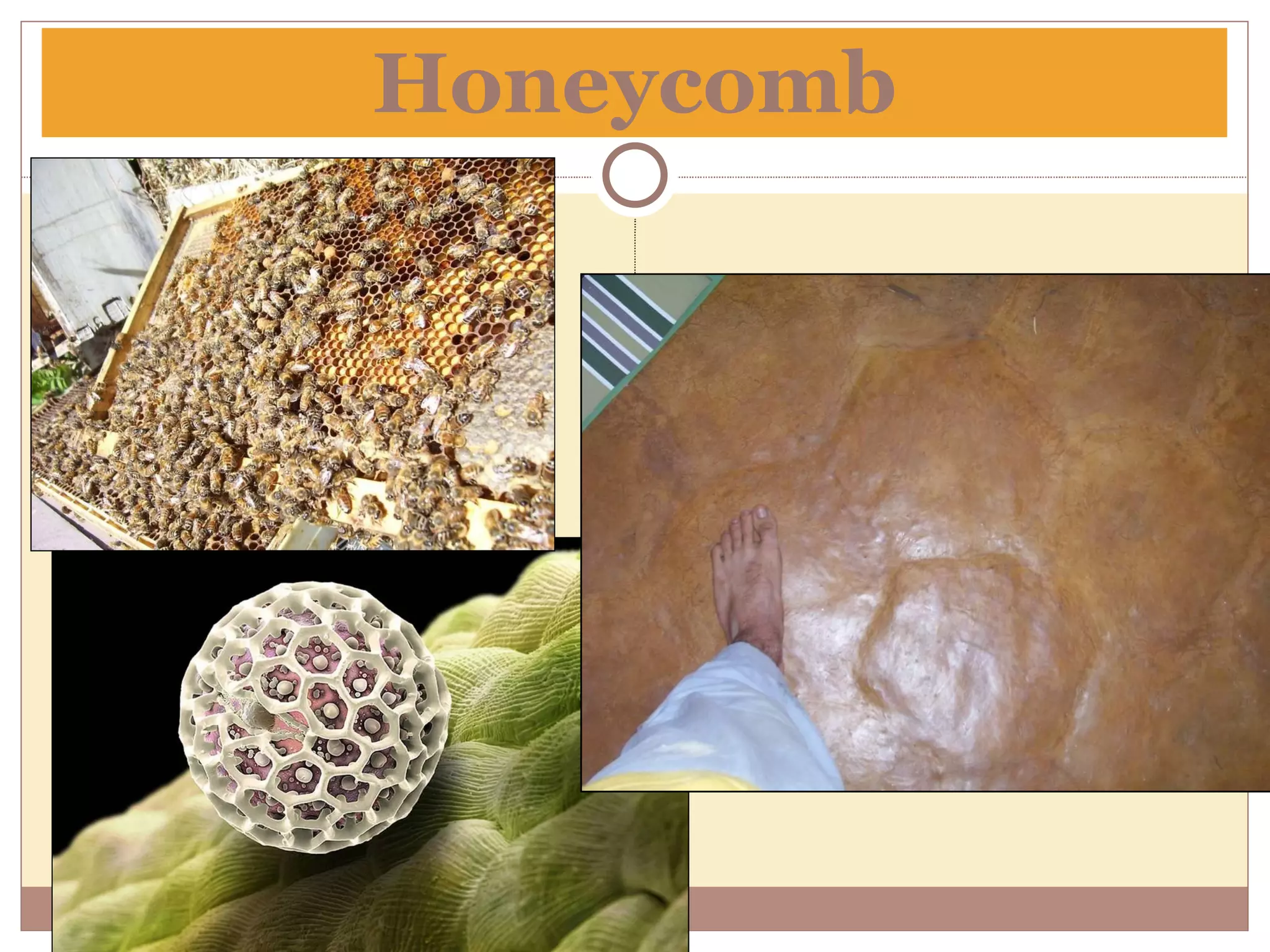 Honeycomb 
