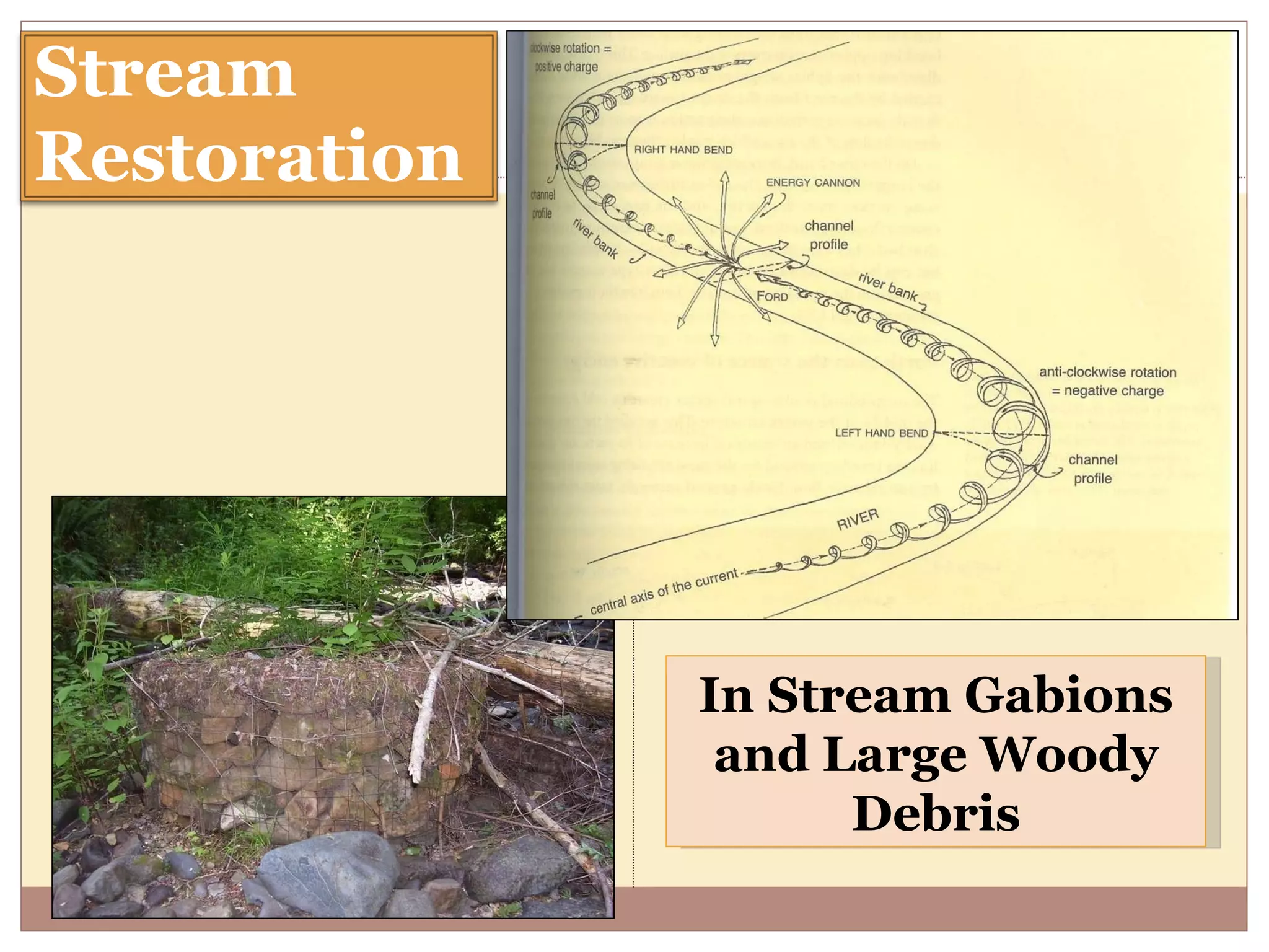 In Stream Gabions and Large Woody Debris Stream Restoration 