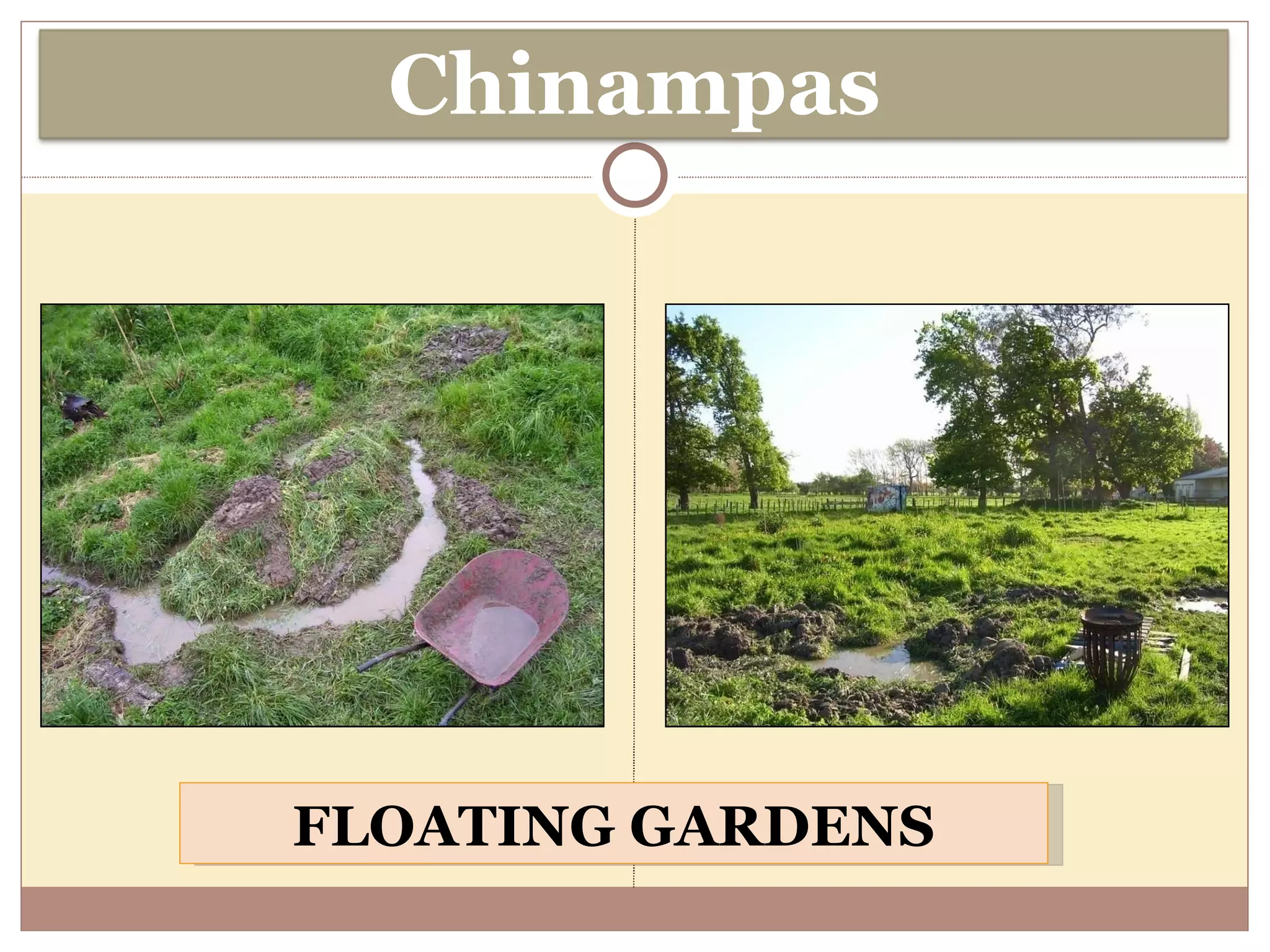 FLOATING GARDENS Chinampas 