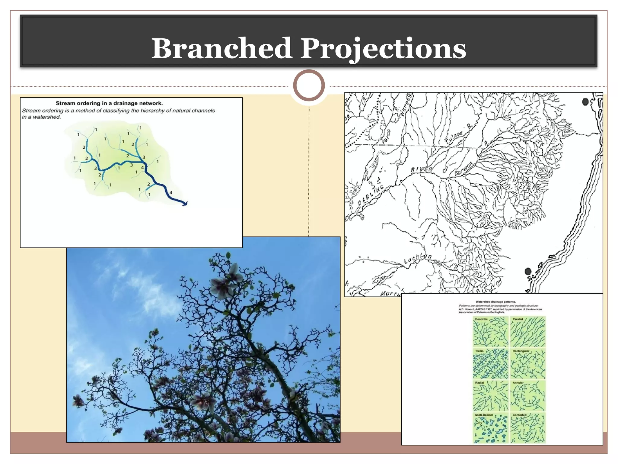 Branched Projections 