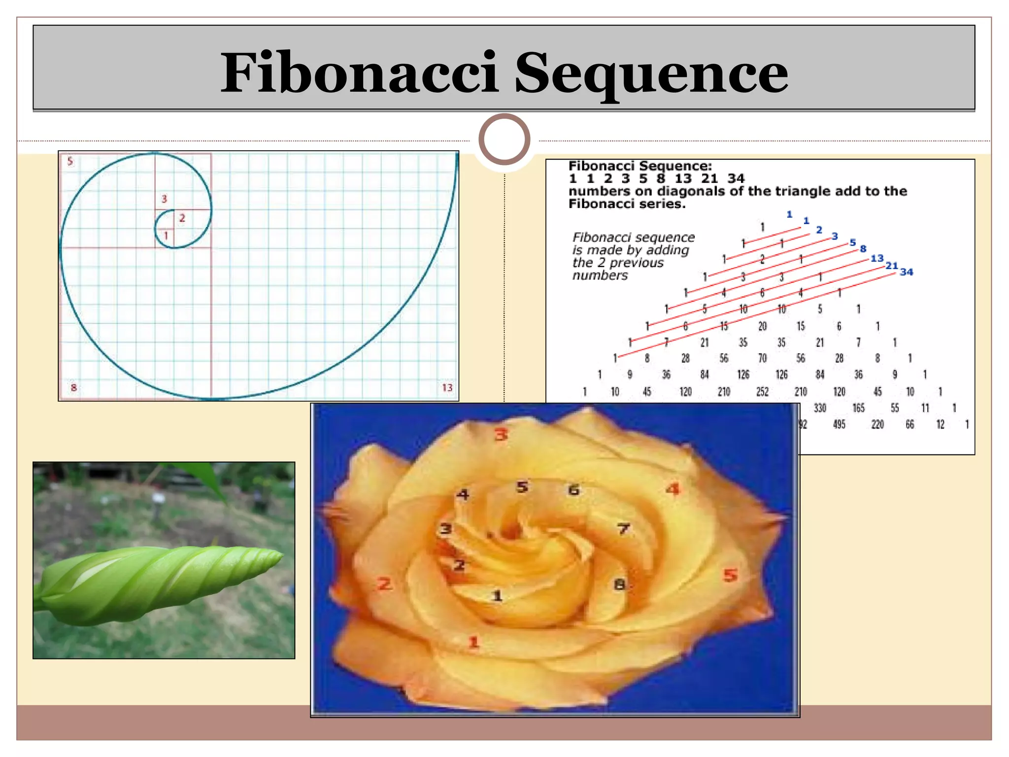 Fibonacci Sequence 