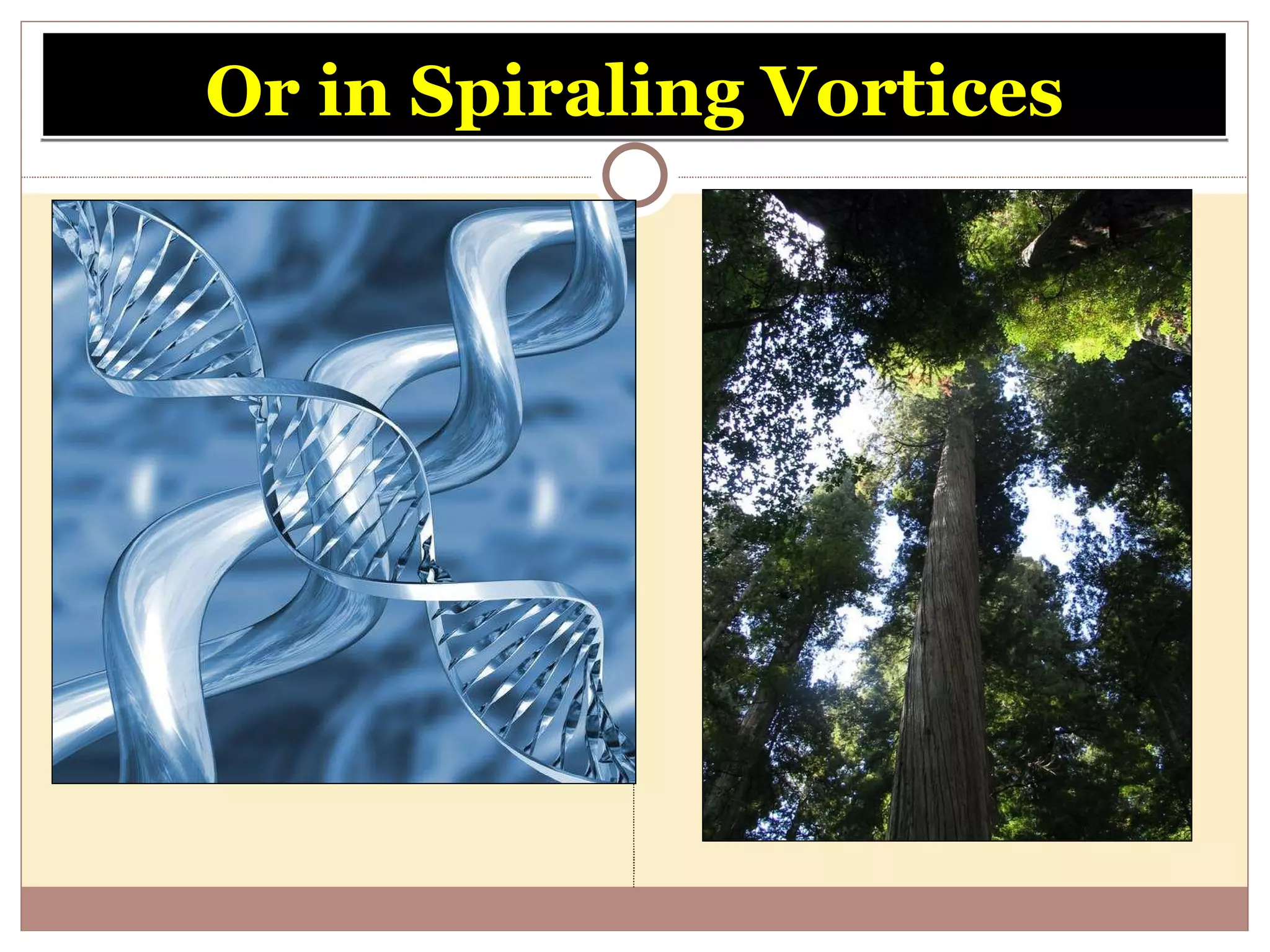 Or in Spiraling Vortices 