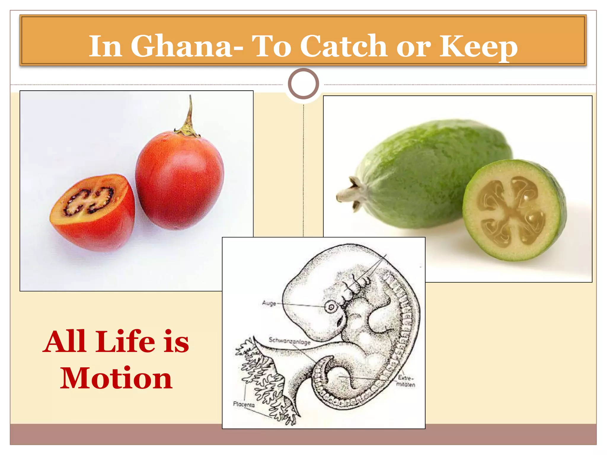 All Life is Motion In Ghana- To Catch or Keep 