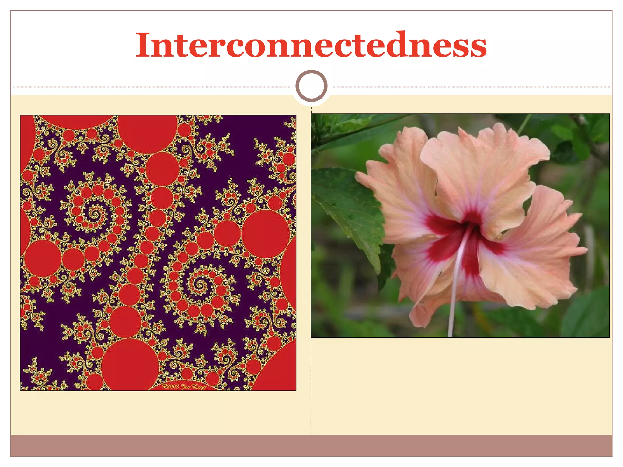 Interconnectedness 