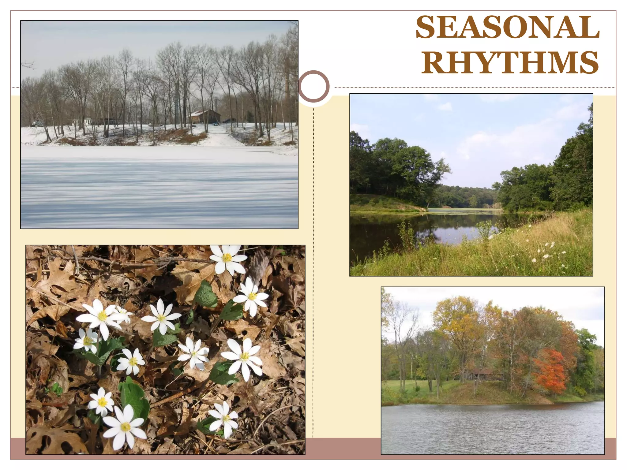 SEASONAL RHYTHMS  