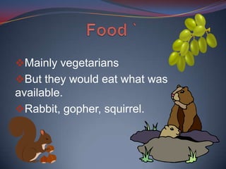 It survived rain storms