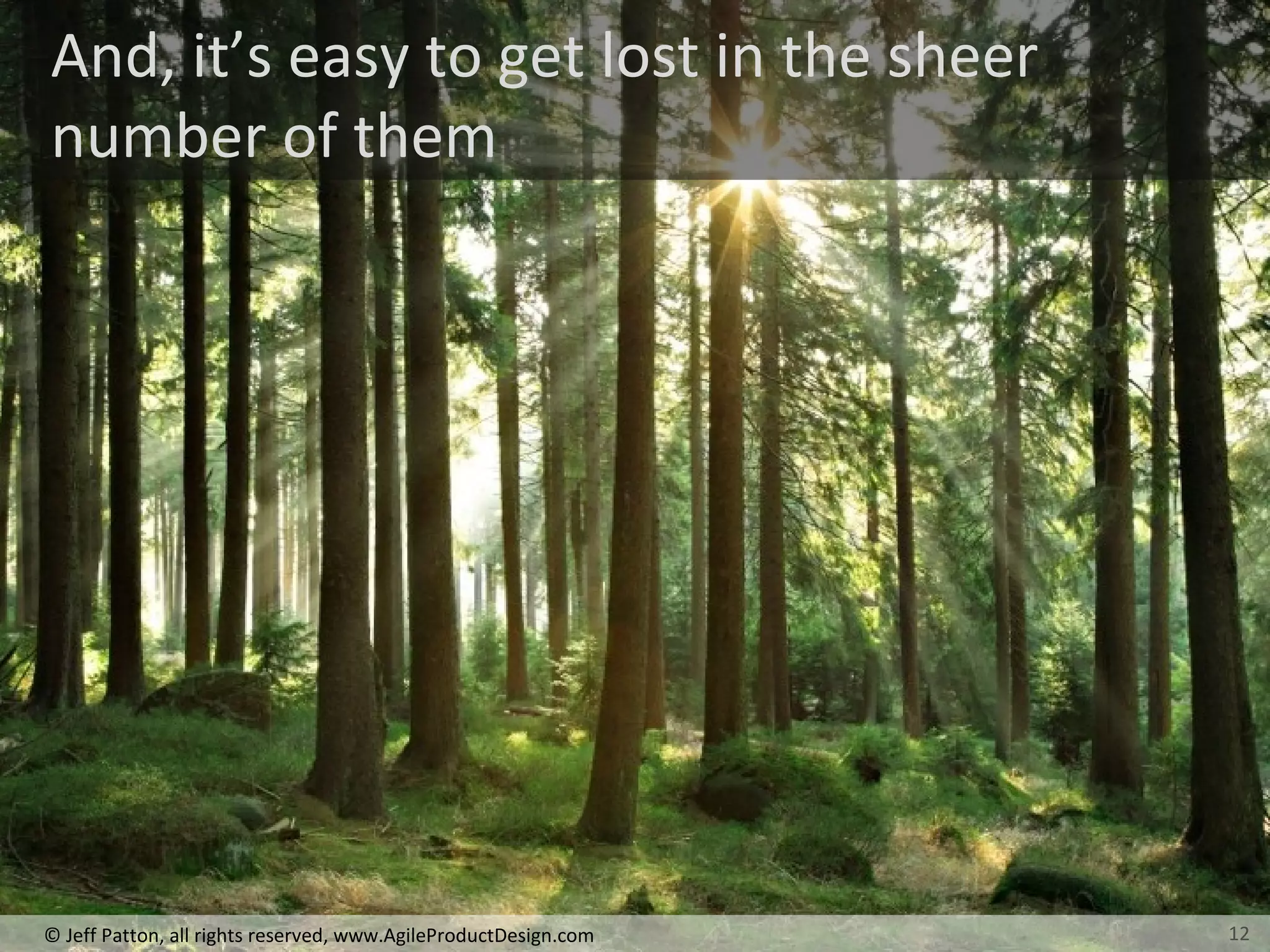 12© Jeff Patton, all rights reserved, www.AgileProductDesign.com
And, it’s easy to get lost in the sheer
number of them
12
 