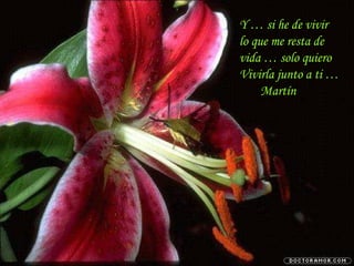 Y … si he de vivir lo que me resta de vida … solo quiero Vivirla junto a ti … Martín   