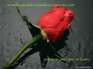 …  sé también que hubo un pasado en el que te hice daño pero fue sin querer amor, tu lo sabes 