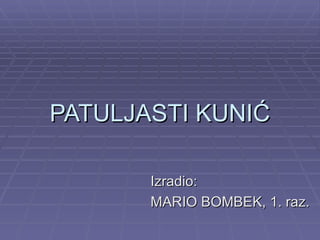 PATULJASTI KUNIĆ Izradio: MARIO BOMBEK, 1. raz. 