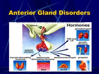 Anterior Gland Disorders
 