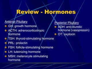 Review - Hormones
Anterior Pituitary
GH: growth hormone
ACTH: adrenocorticotropic
hormone
TSH: thyroid-stimulating hormone
PRL: prolactin
FSH: follicle-stimulating hormone
LH: luteinizing hormone
MSH: melanocyte stimulating
hormone
Posterior Pituitary
ADH: anti-diuretic
hormone (vasopressin)
OT: oxytocin
 