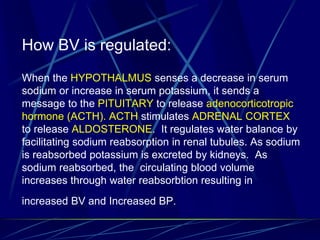 How BV is regulated:
When the HYPOTHALMUS senses a decrease in serum
sodium or increase in serum potassium, it sends a
message to the PITUITARY to release adenocorticotropic
hormone (ACTH). ACTH stimulates ADRENAL CORTEX
to release ALDOSTERONE. It regulates water balance by
facilitating sodium reabsorption in renal tubules. As sodium
is reabsorbed potassium is excreted by kidneys. As
sodium reabsorbed, the circulating blood volume
increases through water reabsorbtion resulting in
increased BV and Increased BP.
 