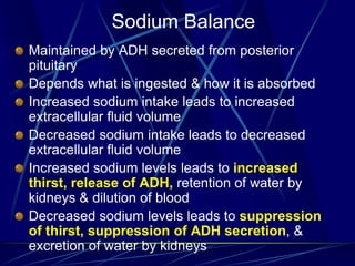 Sodium Balance
Maintained by ADH secreted from posterior
pituitary
Depends what is ingested & how it is absorbed
Increased sodium intake leads to increased
extracellular fluid volume
Decreased sodium intake leads to decreased
extracellular fluid volume
Increased sodium levels leads to increased
thirst, release of ADH, retention of water by
kidneys & dilution of blood
Decreased sodium levels leads to suppression
of thirst, suppression of ADH secretion, &
excretion of water by kidneys
 