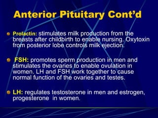 Anterior Pituitary Cont’d
Prolactin: stimulates milk production from the
breasts after childbirth to enable nursing. Oxytoxin
from posterior lobe controls milk ejection.
FSH: promotes sperm production in men and
stimulates the ovaries to enable ovulation in
women. LH and FSH work together to cause
normal function of the ovaries and testes.
LH: regulates testosterone in men and estrogen,
progesterone in women.
 