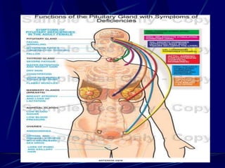 Patutary gland disorders.ppt