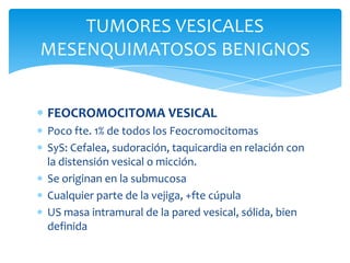 Patología Vesical por Ultrasonido Slide 128