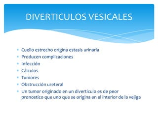 Patología Vesical por Ultrasonido Slide 143