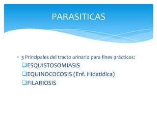 Patología Vesical por Ultrasonido Slide 37