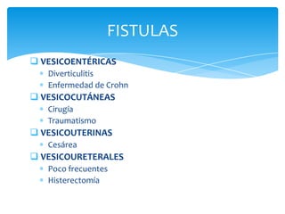 Patología Vesical por Ultrasonido Slide 73