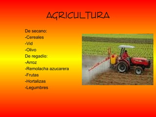 AGRICULTURA
De secano:
-Cereales
-Vid
-Olivo
De regadío:
-Arroz
-Remolacha azucarera
-Frutas
-Hortalizas
-Legumbres
 