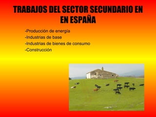 TRABAJOS DEL SECTOR SECUNDARIO EN
            EN ESPAÑA
   -Producción de energía
   -Industrias de base
   -Industrias de bienes de consumo
   -Construcción
 