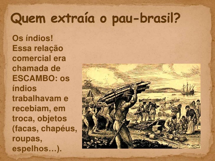 Pau Brasil