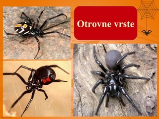 Otrovne vrste
 