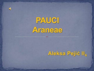 Aleksa Pejić II 4
 