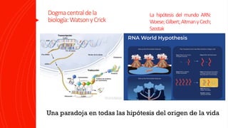 Autogenesis Autogénesis: una alternativa para comprender el origen de la memoria ...