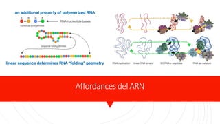 Autogenesis Autogénesis: una alternativa para comprender el origen de la memoria ...