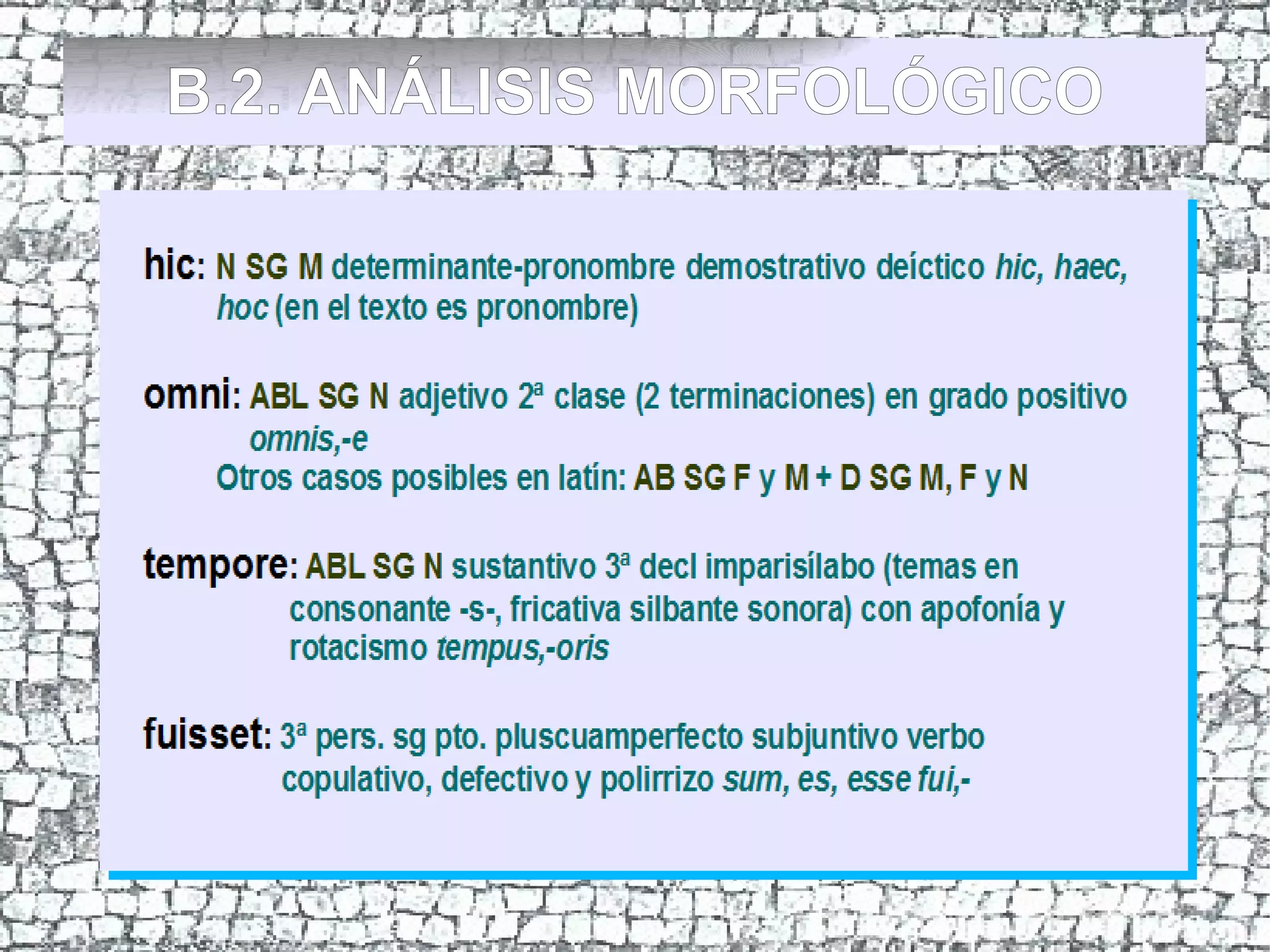 B.2. ANÁLISIS MORFOLÓGICO
 