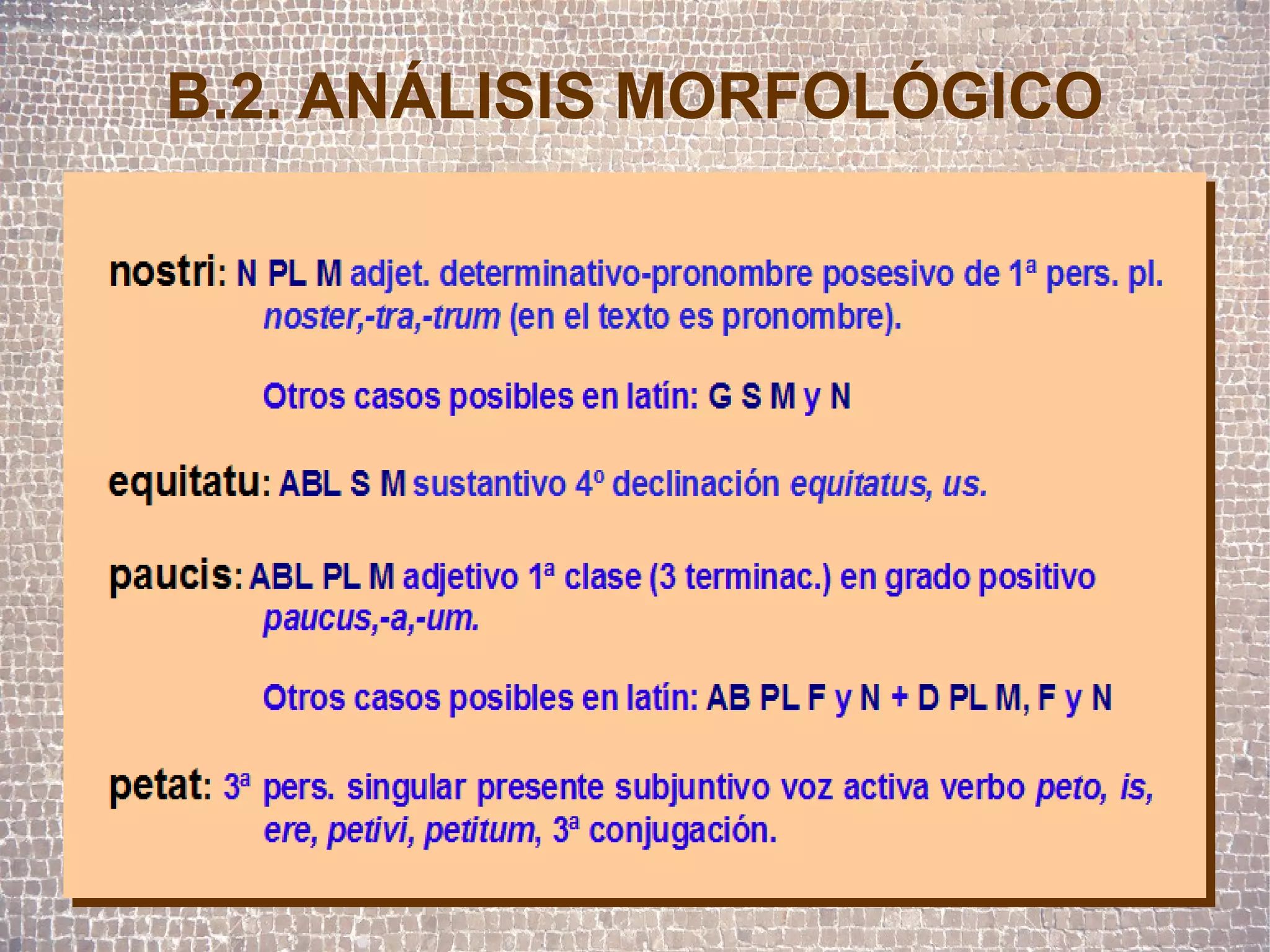B.2. ANÁLISIS MORFOLÓGICO
 