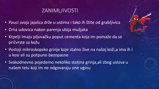 ZANIMLJIVOSTI
• Pauci svoja jajašca drže u ustima i tako ih štite od grabljivica
• Crna udovica nakon parenja ubija mužjaka
• Krpelji imaju pljuvačku poput cementa koja im pomaže da se
pričvrste za kožu
• Postoji mikroskopsko grinje koje stalno žive na našoj koži,a ima ih i
u kosi ali su potpuno bezopasne
• Svakodnevno pojedemo nekoliko stotina grinja,ali zbog uslova u
našem telu koji im ne odgovaraju one uginu
 