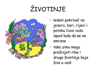 ŽIVOTINJE ledeni pokrivač na jezeru, bari, rijeci i potoku čuva vodu ispod leda da se ne smrzne tako zimu mogu preživjeti ribe i druge životinje koje žive u vodi 
