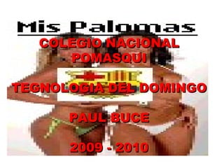 COLEGIO NACIONAL POMASQUI TEGNOLOGIA DEL DOMINGO PAUL BUCE 2009 - 2010 