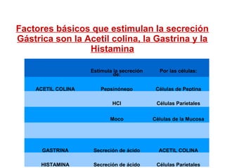 Factores básicos que estimulan la secreción
Gástrica son la Acetil colina, la Gastrina y la
Histamina
Estimula la secreción
de:
Por las células:
ACETIL COLINA Pepsinónego Células de Peptina
HCl Células Parietales
Moco Células de la Mucosa
GASTRINA Secreción de ácido ACETIL COLINA
HISTAMINA Secreción de ácido Células Parietales
 