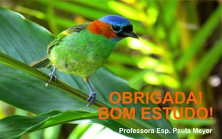 OBRIGADA!
BOM ESTUDO!
Professora Esp. Paula Meyer
 