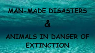 MAN-MADE DISASTERS
&
ANIMALS IN DANGER OF
EXTINCTION
 