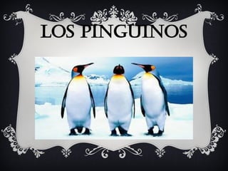 Los pingüinos
 