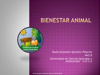 Paula Alejandra Quintero Palacios
MVZ B
Universidad de Ciencias Aplicadas y
Ambientales – U.D.C.A
Paula Alejandra Quintero Palacios 03/04/2016
 