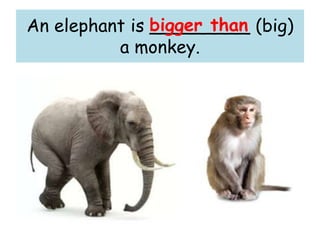 An elephant is _________ (big)
a monkey.
bigger than
 