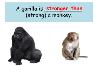 A gorilla is ___________
(strong) a monkey.
stronger than
 