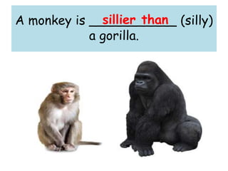 A monkey is ___________ (silly)
a gorilla.
sillier than
 